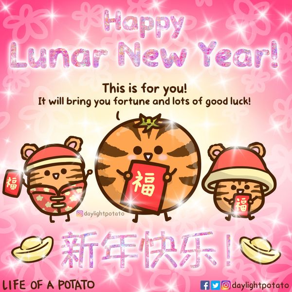 Happy Lunar New Year! ft. Orange & Pineapple Tarts